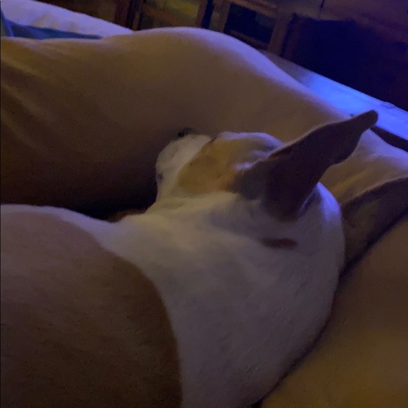 Meet your Posher, Craig - Picture 1 of 1